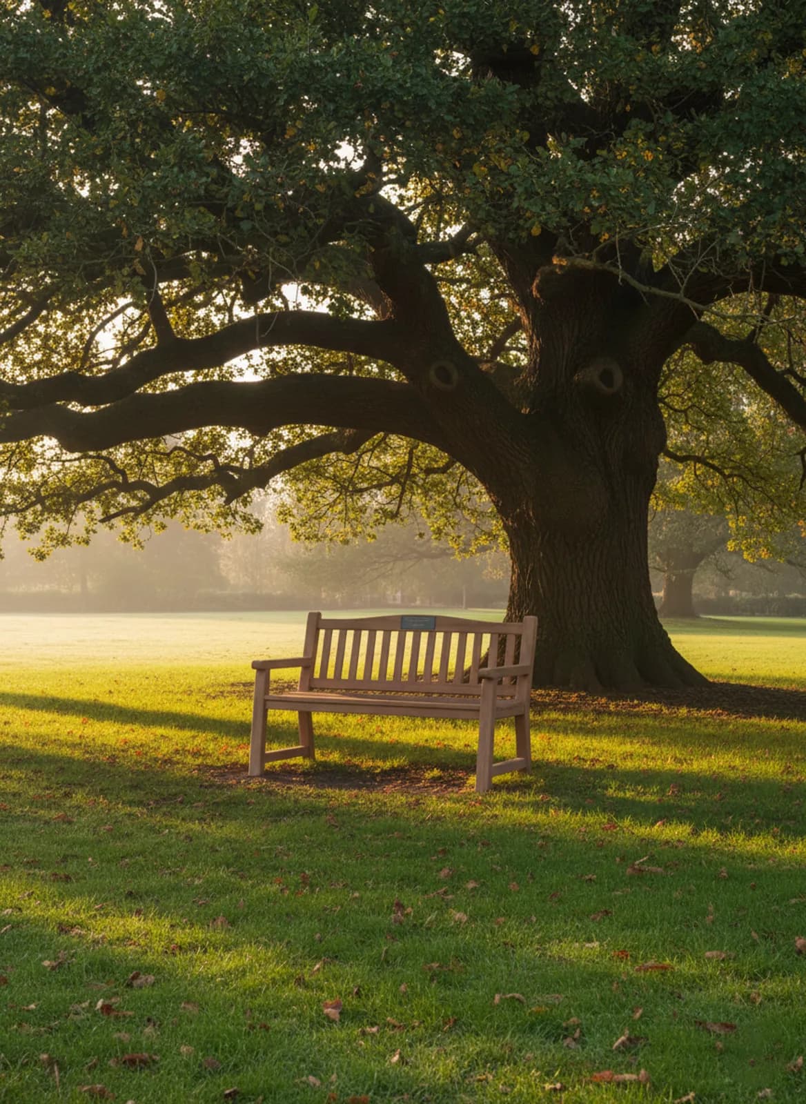Banc de Mémoire® dans un jardin paisible