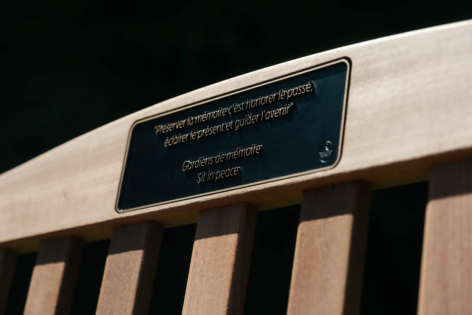 Plaque Rétro - Bronze Dorée