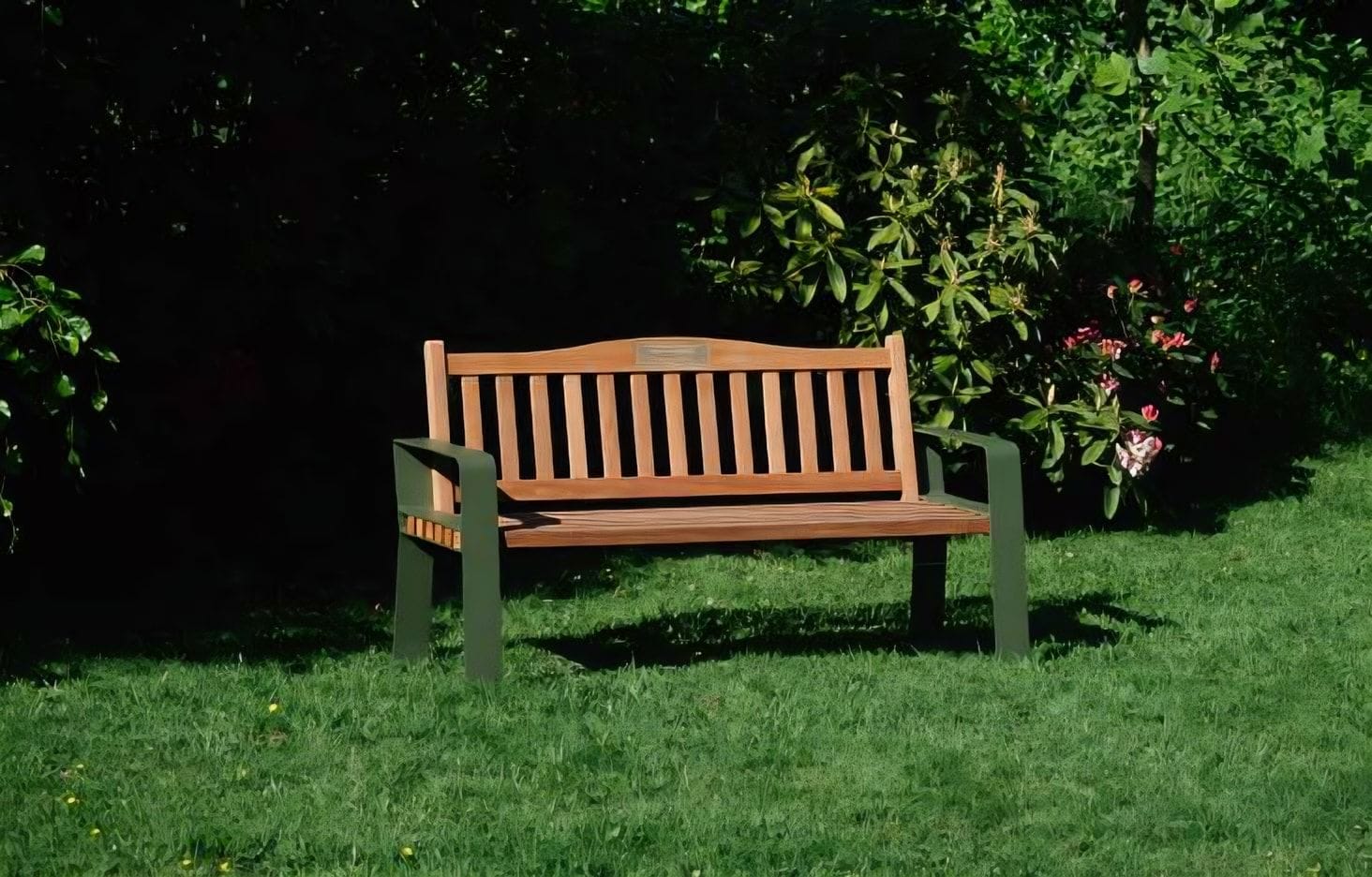 Un Banc de Mémoire au soleil dans un jardin