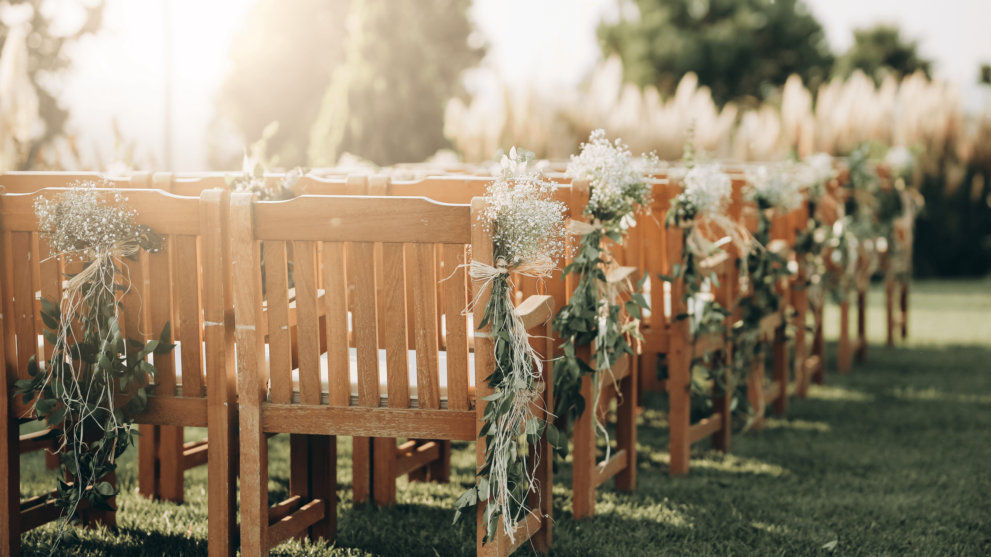 Un Banc de Mémoire seul dans une prairie fleurie